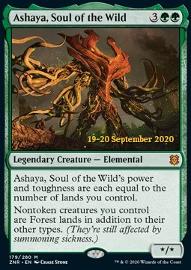 Ashaya, Soul of the Wild (V.2) 
