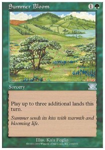 Summer Bloom 