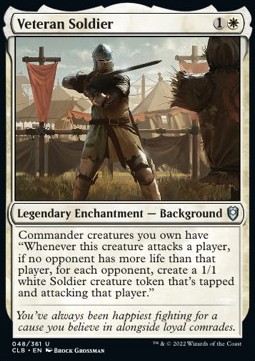 Veteran Soldier 