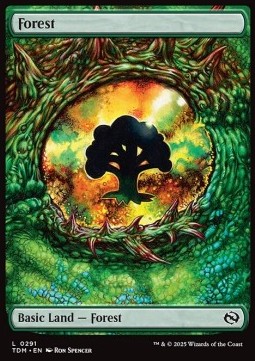 Forest 