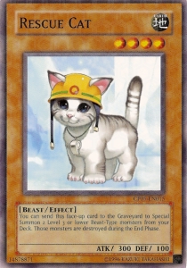 Rescue Cat 