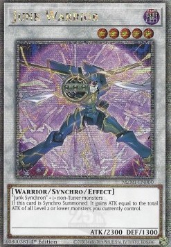 Junk Warrior 