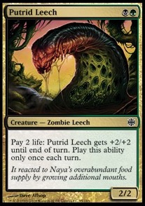 Putrid Leech 