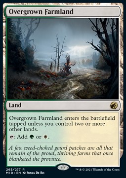 Overgrown Farmland - Innistrad Midnight Hunt 