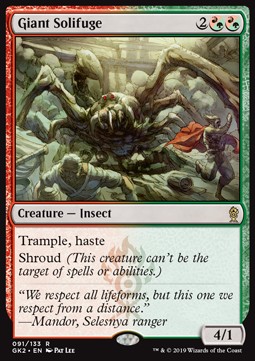 Giant Solifuge 