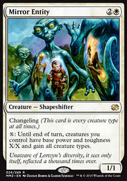 Mirror Entity 