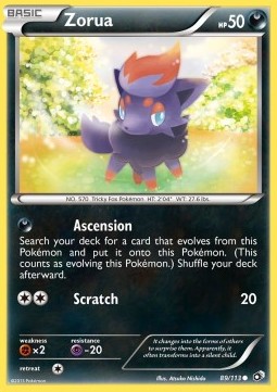 Zorua 