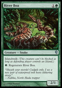 River Boa 