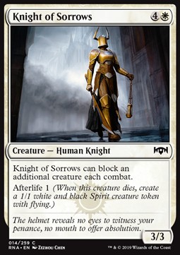Knight of Sorrows 