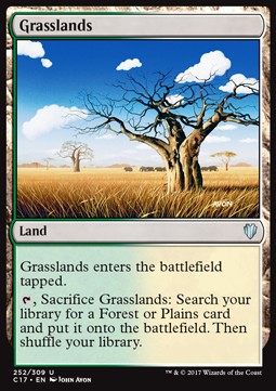 Grasslands 