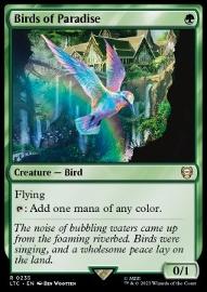 Birds of Paradise 