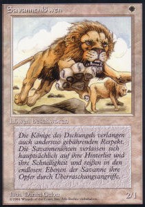 Savannah Lions - Foreign Black Bordered 
