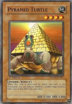 Pyramid Turtle 