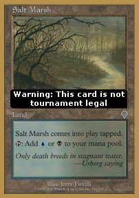 Salt Marsh 