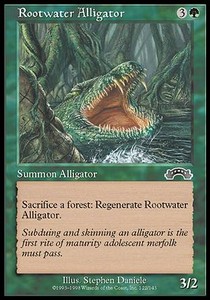 Rootwater Alligator 