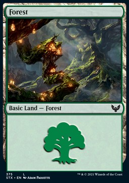 Forest (V.2) 