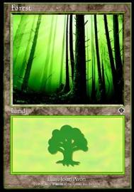 Forest (V.1) 