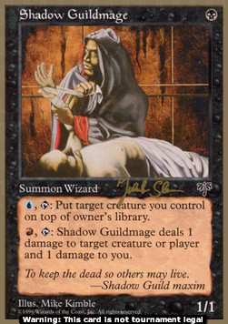 Shadow Guildmage 