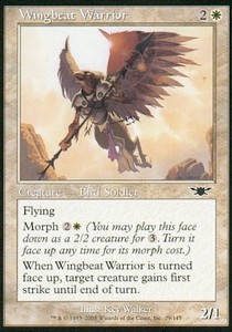 Wingbeat Warrior 