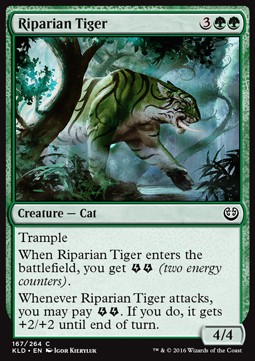 Riparian Tiger 