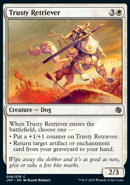 Trusty Retriever 