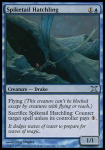 Spiketail Hatchling 