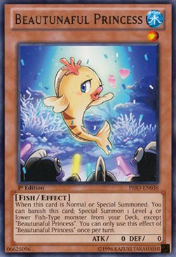 Beautunaful Princess 