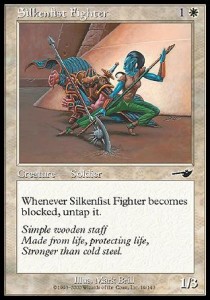 Silkenfist Fighter 