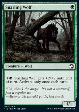 Snarling Wolf 