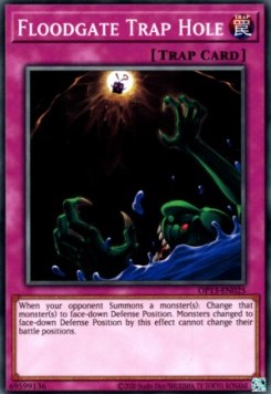 Floodgate Trap Hole 