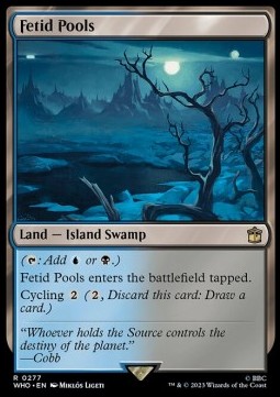 Fetid Pools 