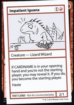 Impatient Iguana (V.2) 