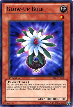 Glow-Up Bulb (V.1 - Ultra Rare) 