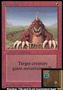 Burrowing - Collectors Edition 