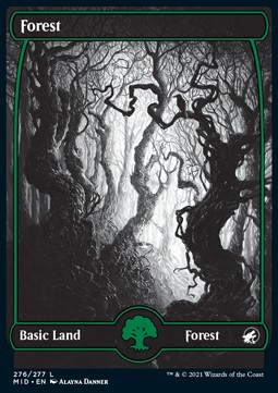 Forest (V.1) 