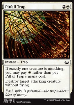 Pitfall Trap 