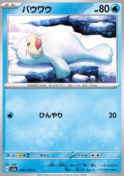 Seel 