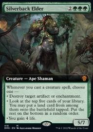 Silverback Elder 
