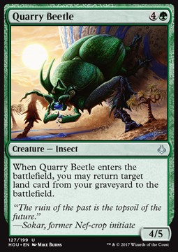 Quarry Beetle 