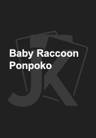 Baby Raccoon Ponpoko 
