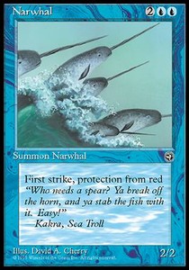 Narwhal - Homelands 