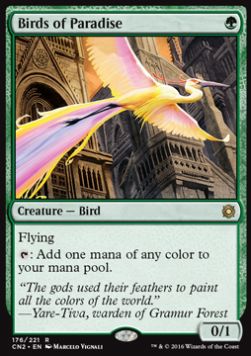 Birds of Paradise - Conspiracy Take the Crown 