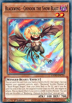 Blackwing Chinook the Snow Blast 