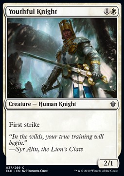 Youthful Knight 