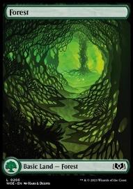 Forest 