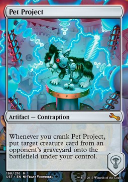 Pet Project 