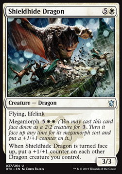 Shieldhide Dragon 