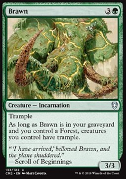 Brawn 