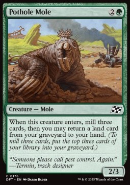 Pothole Mole 