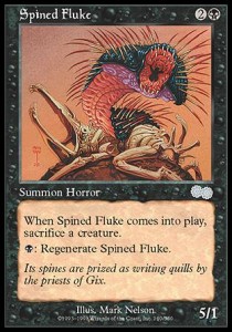 Spined Fluke 